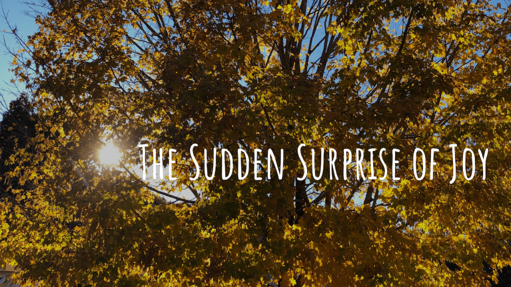 A Golden Shovel: The Sudden Surprise of Joy