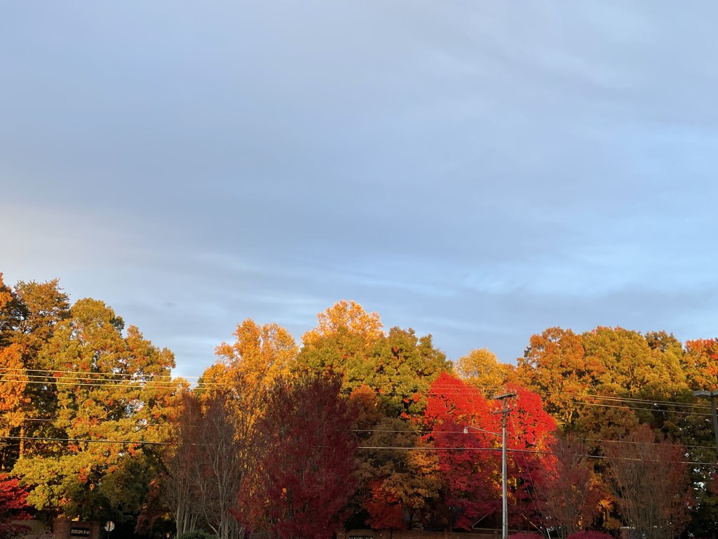 Nostalgia or Whatever